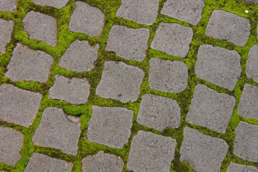 a close up of a cobblestone sidewalk with grass growing on it