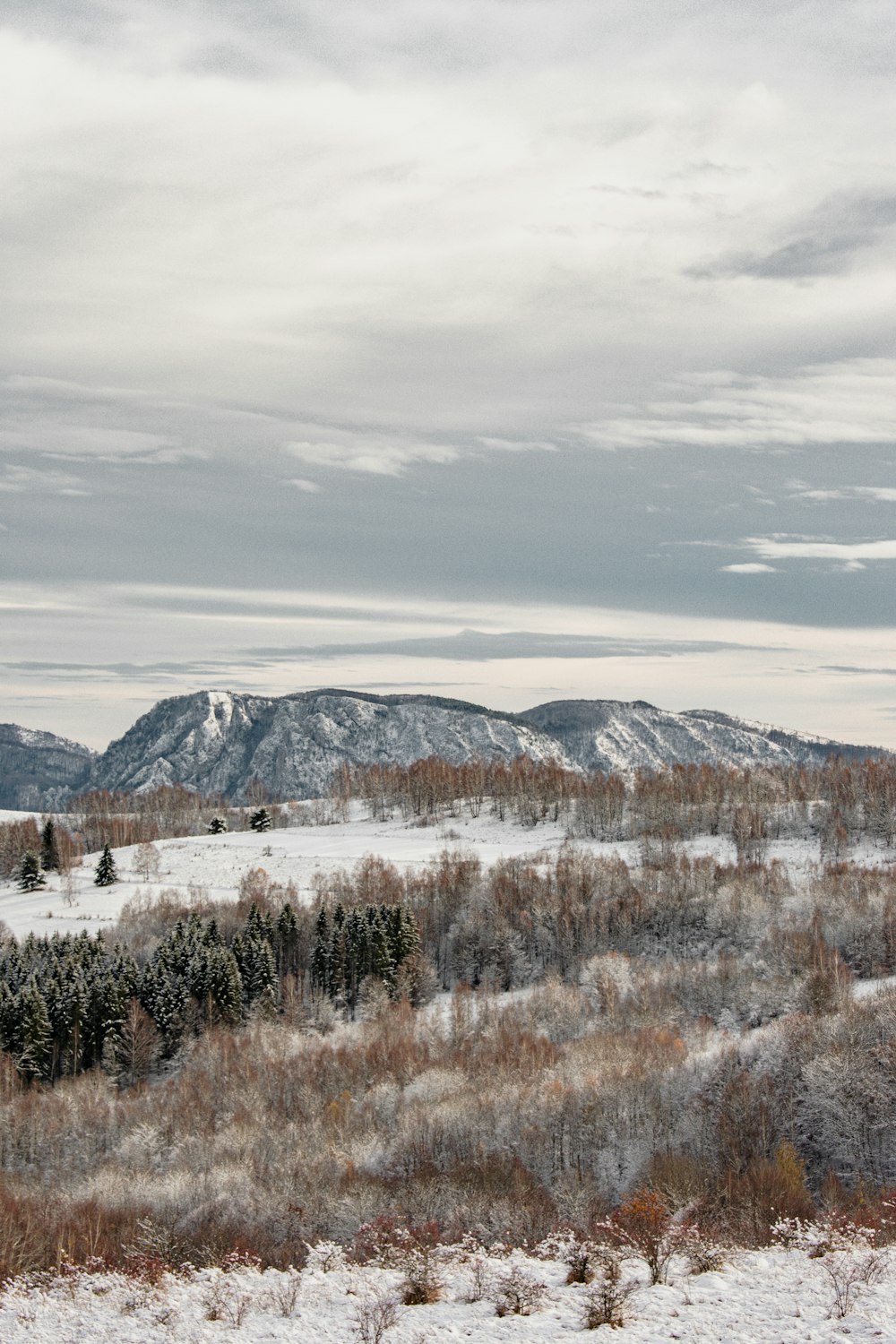 a snowy landscape with mountains in the distance