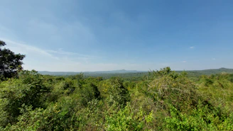 A panoramic view of the lush tropical forest stretching across the Central African Republic.