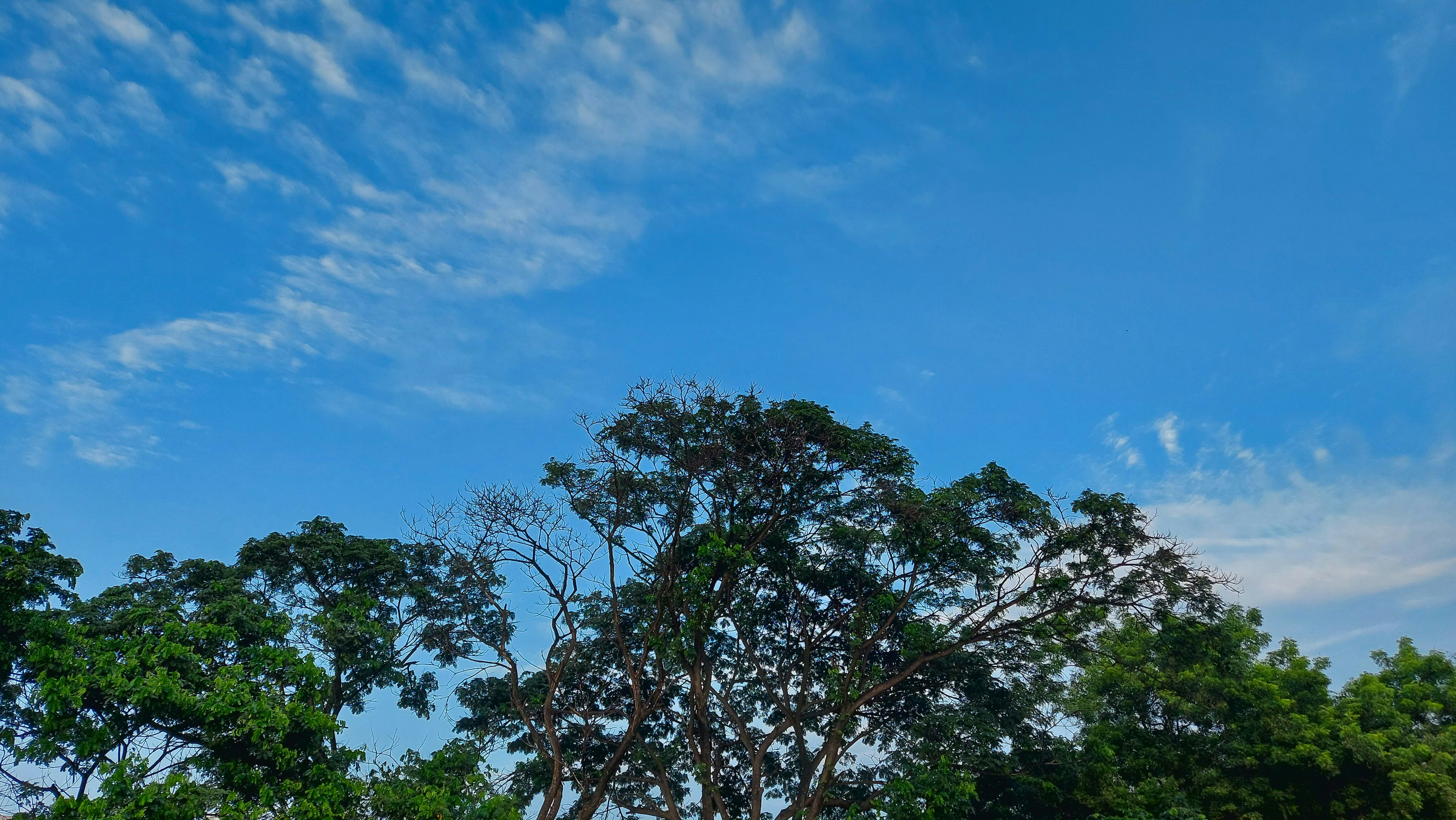 DST and the Big Match: How Daylight Saving Shifts Can Break Your Game Plan