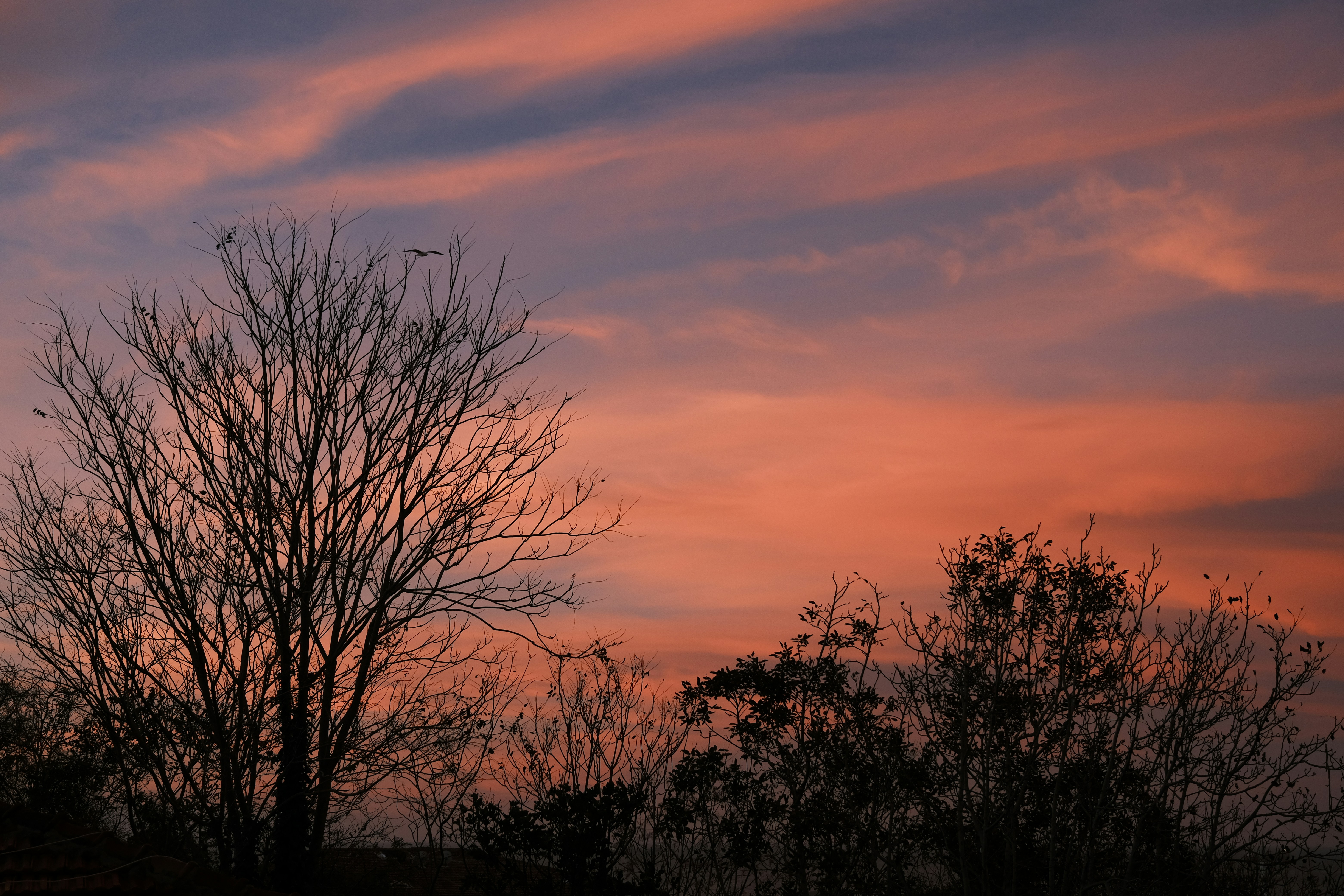 Photo by irfansimsar