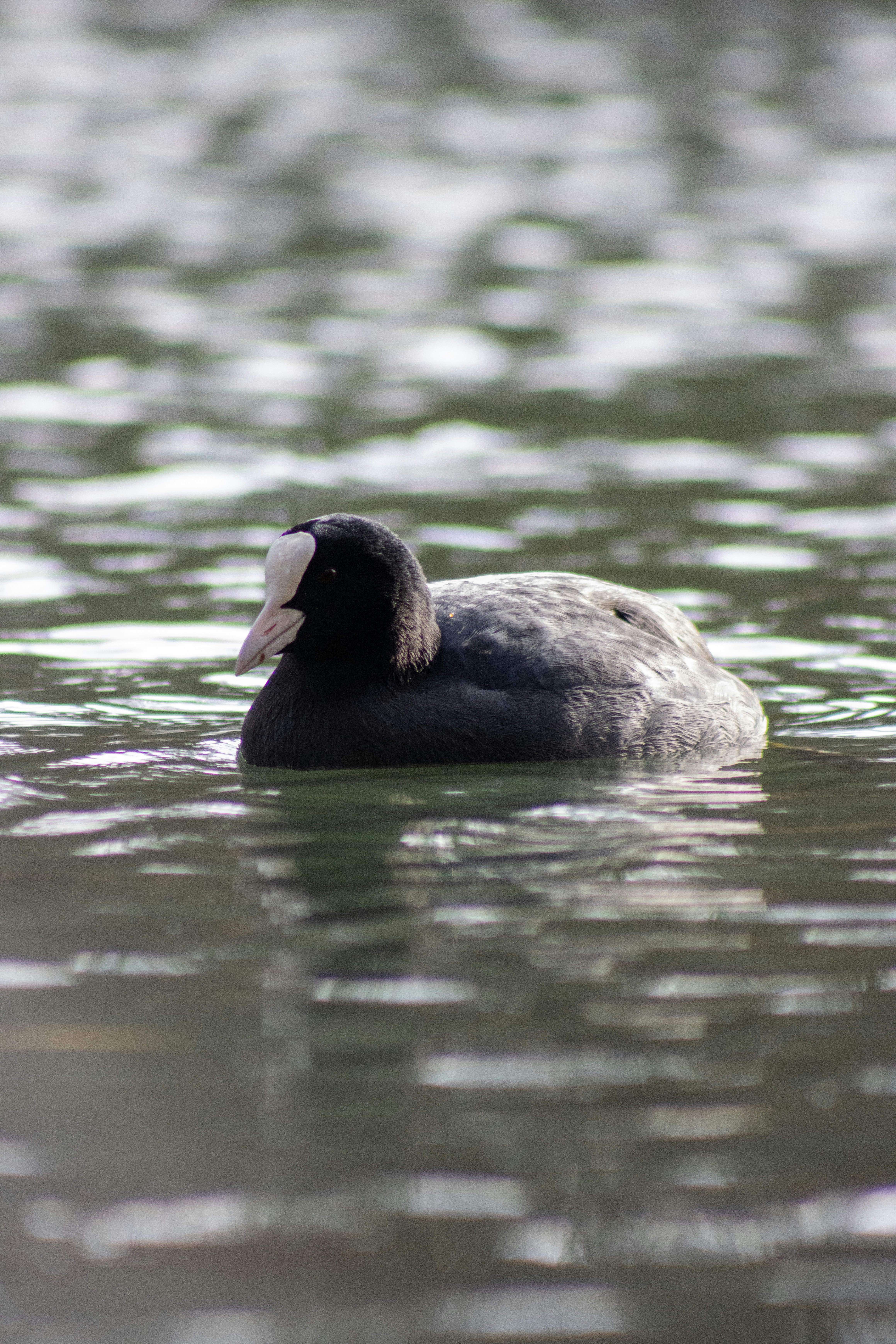 Photo by leephotography