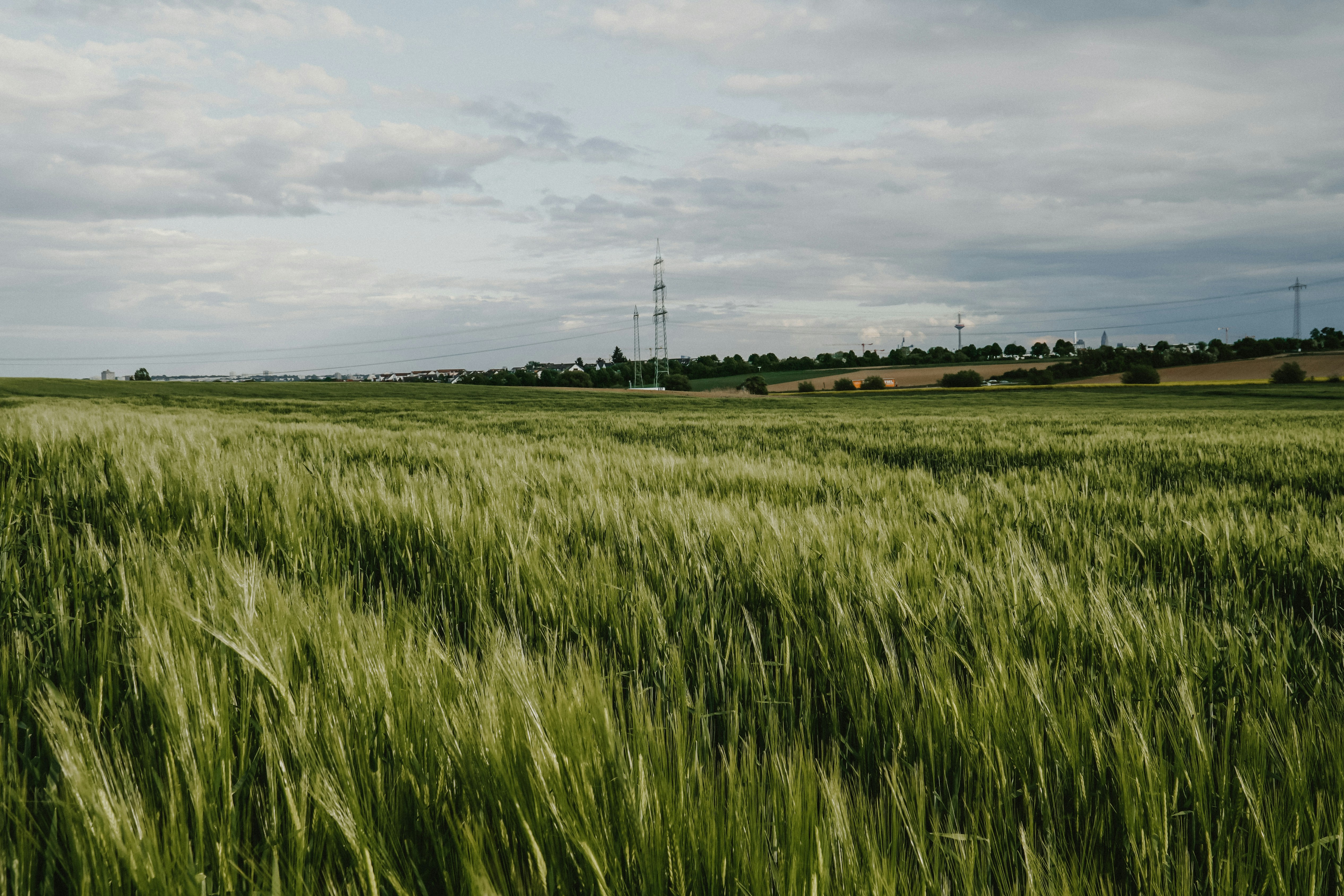 Photo by masoodaslami