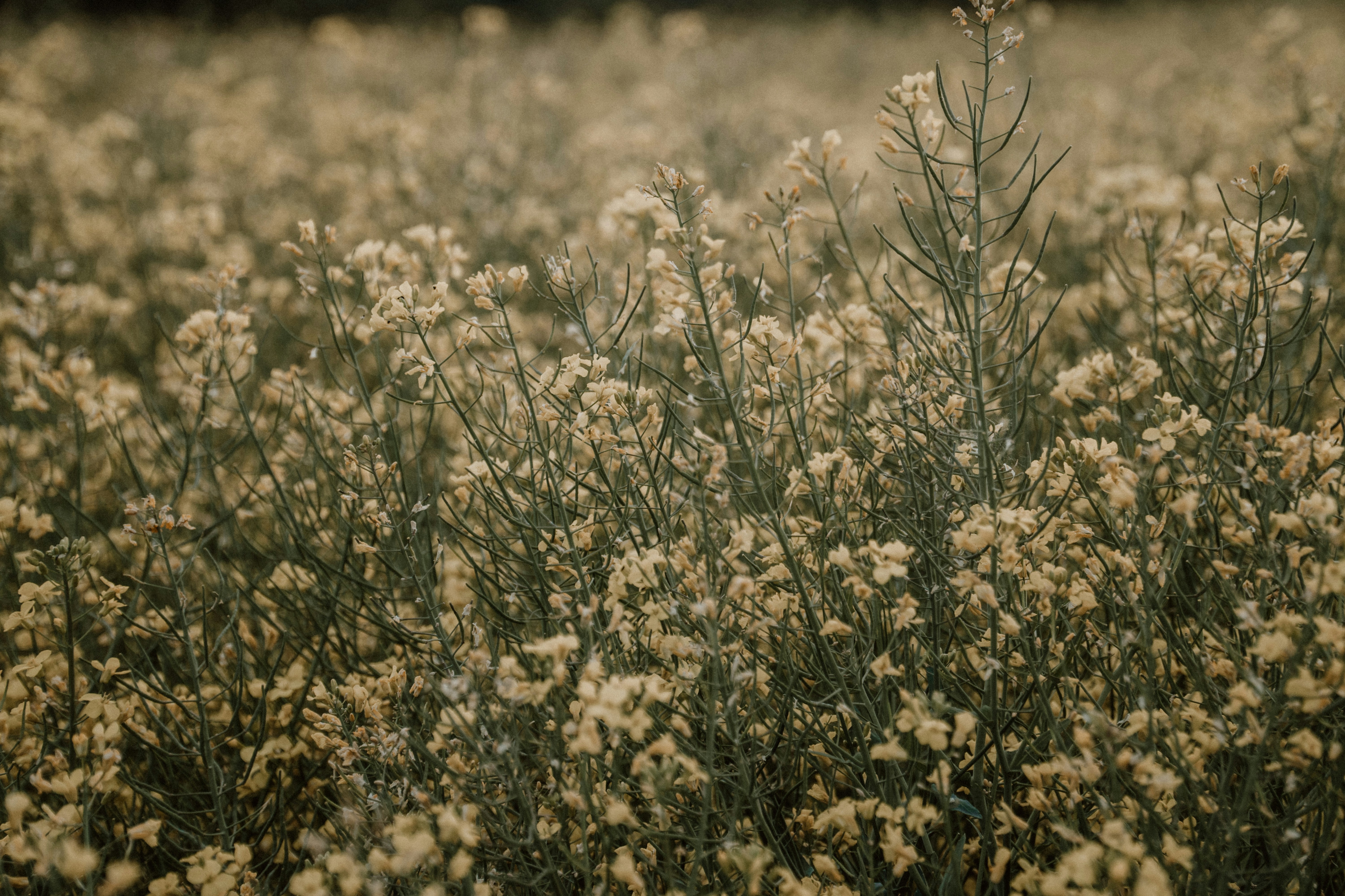 Photo by masoodaslami