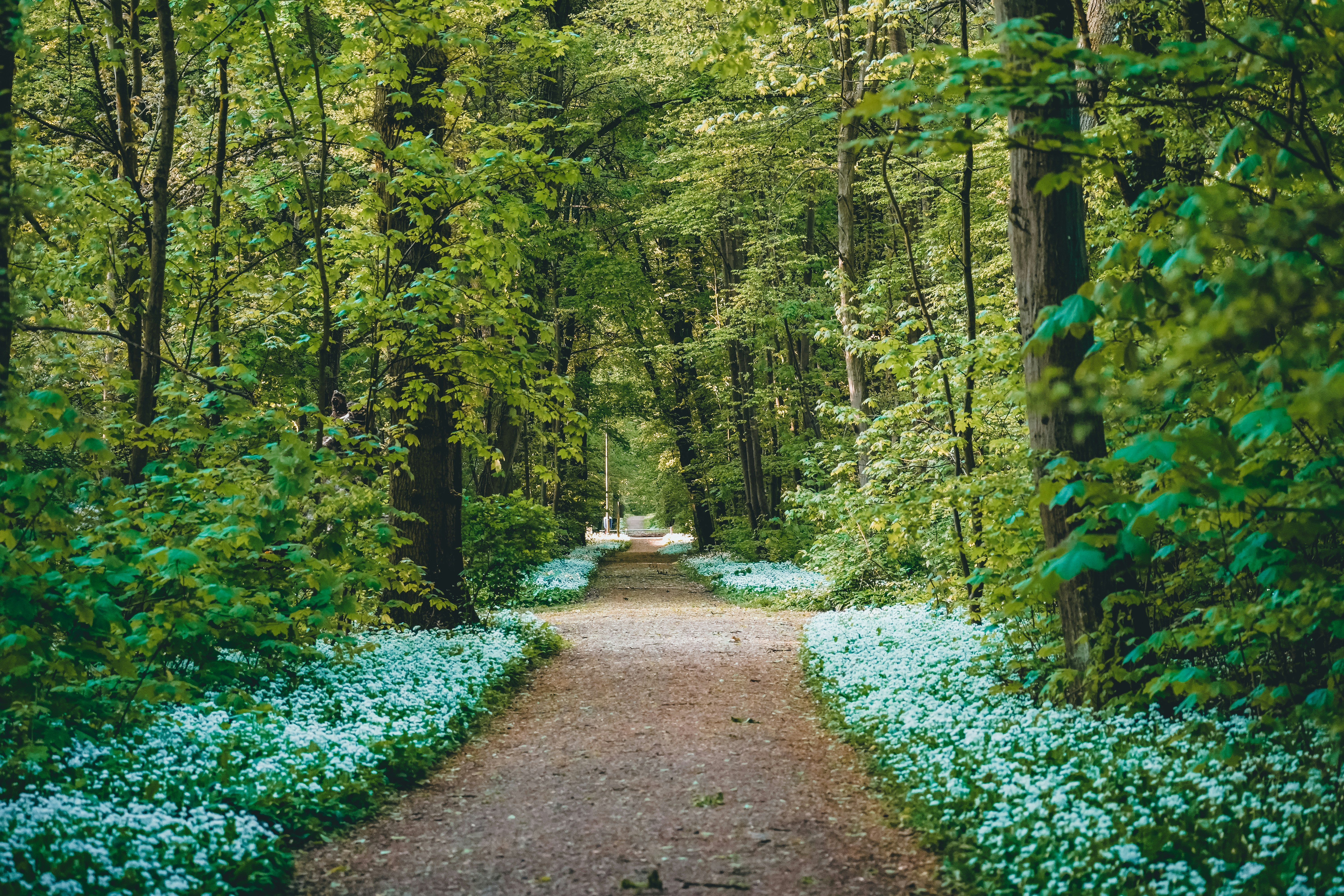 Photo by masoodaslami