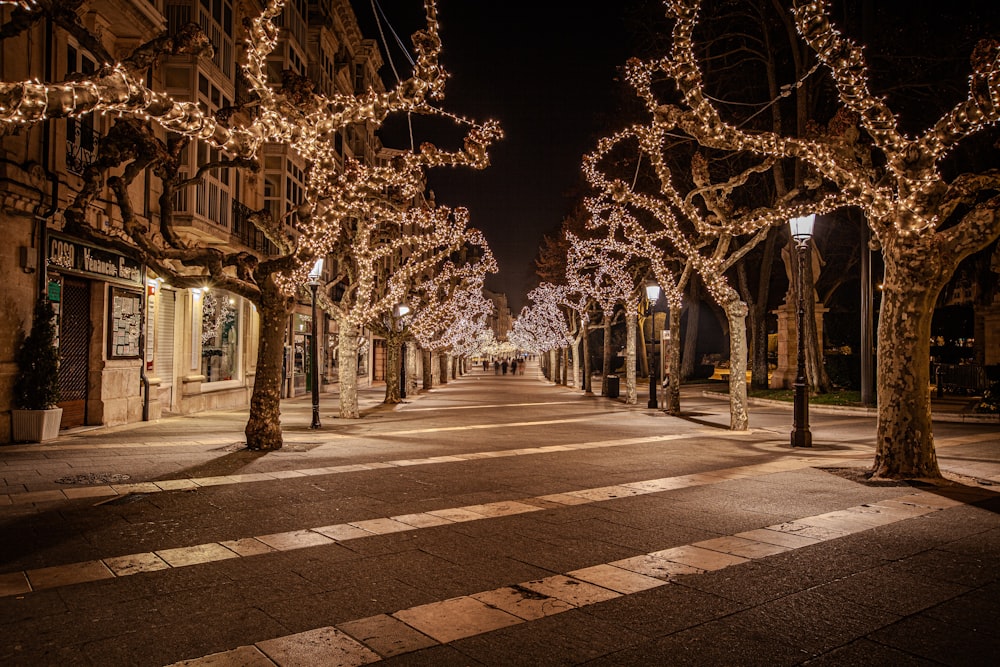 a street lined with trees covered in christmas lights