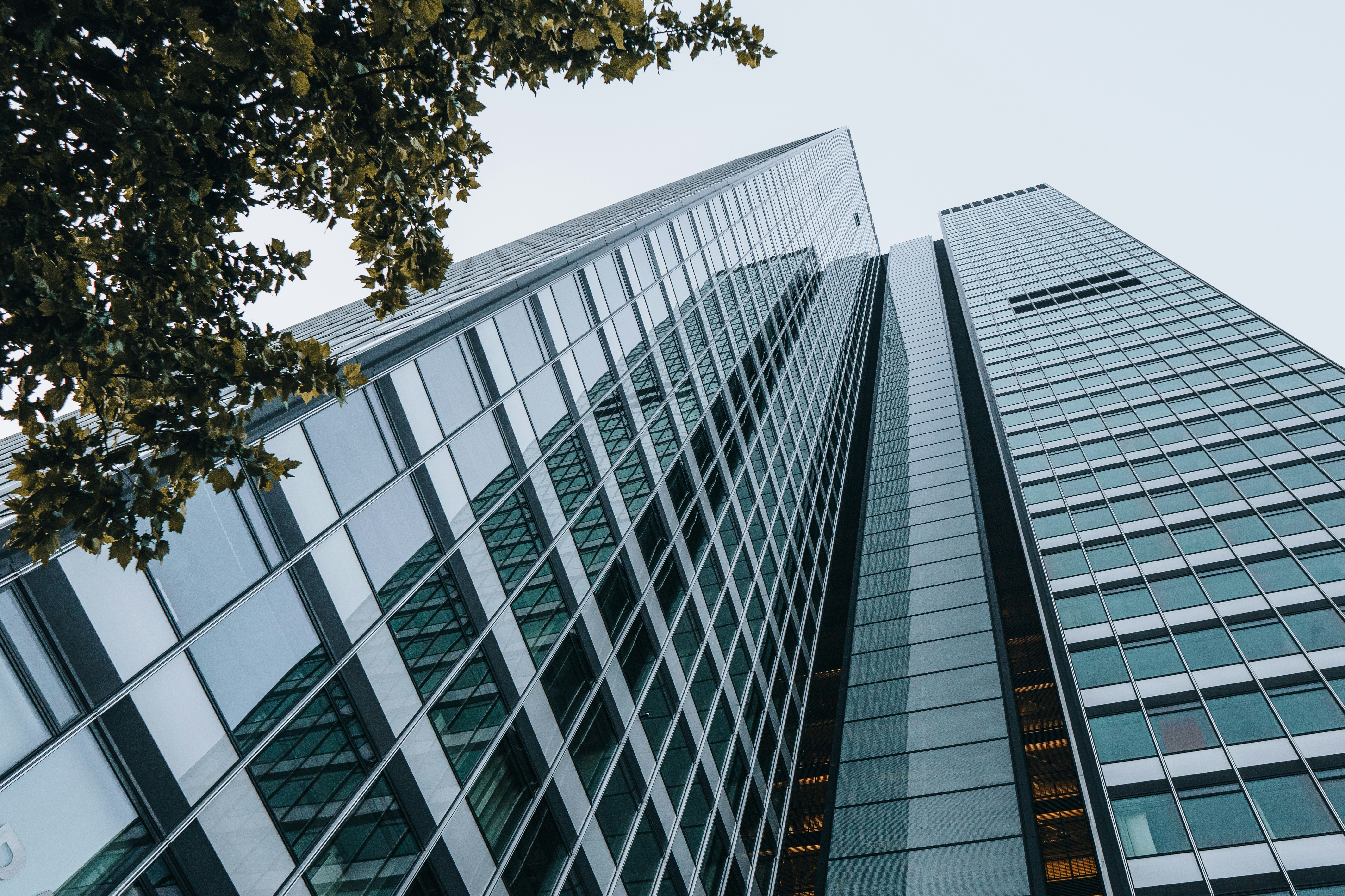 Photo by masoodaslami