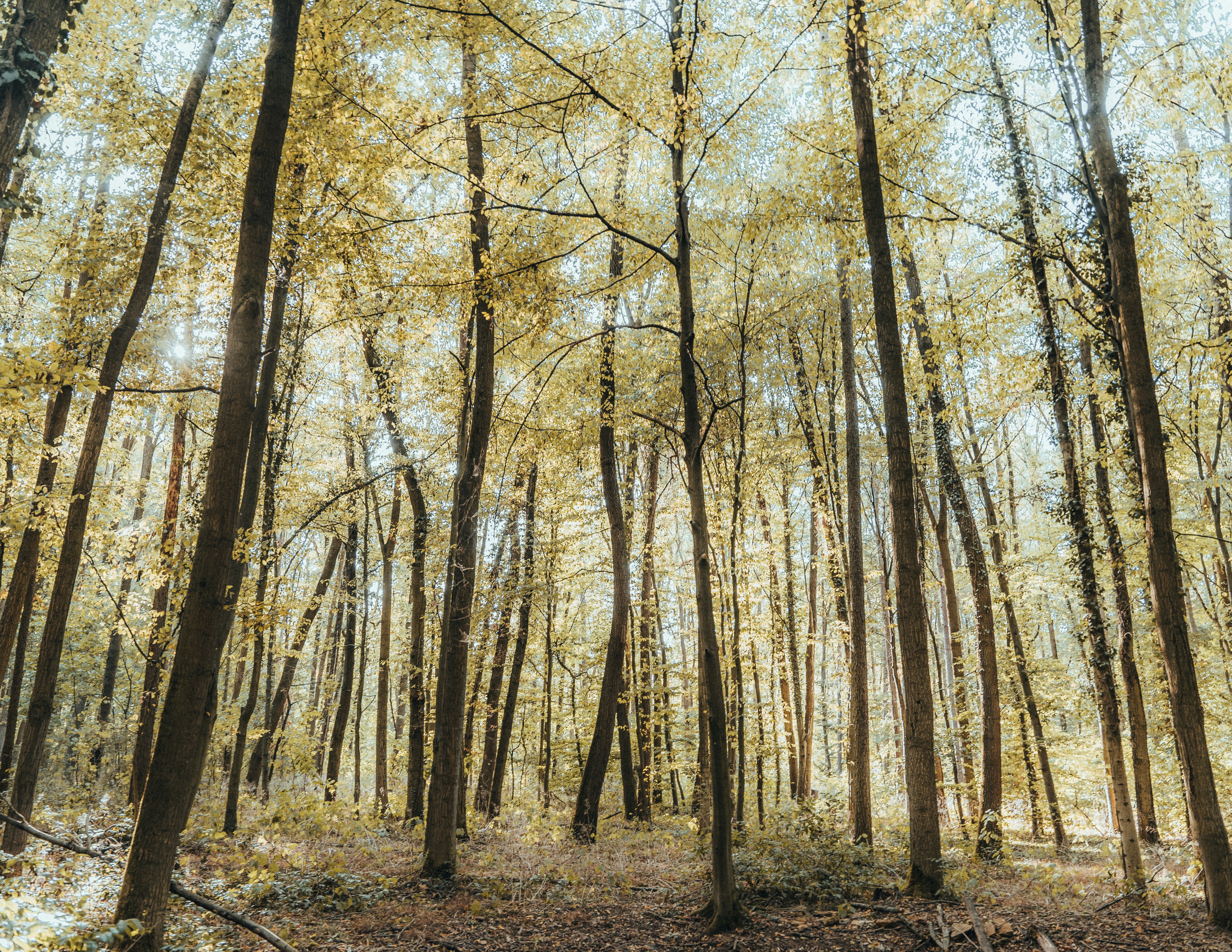 Photo by masoodaslami