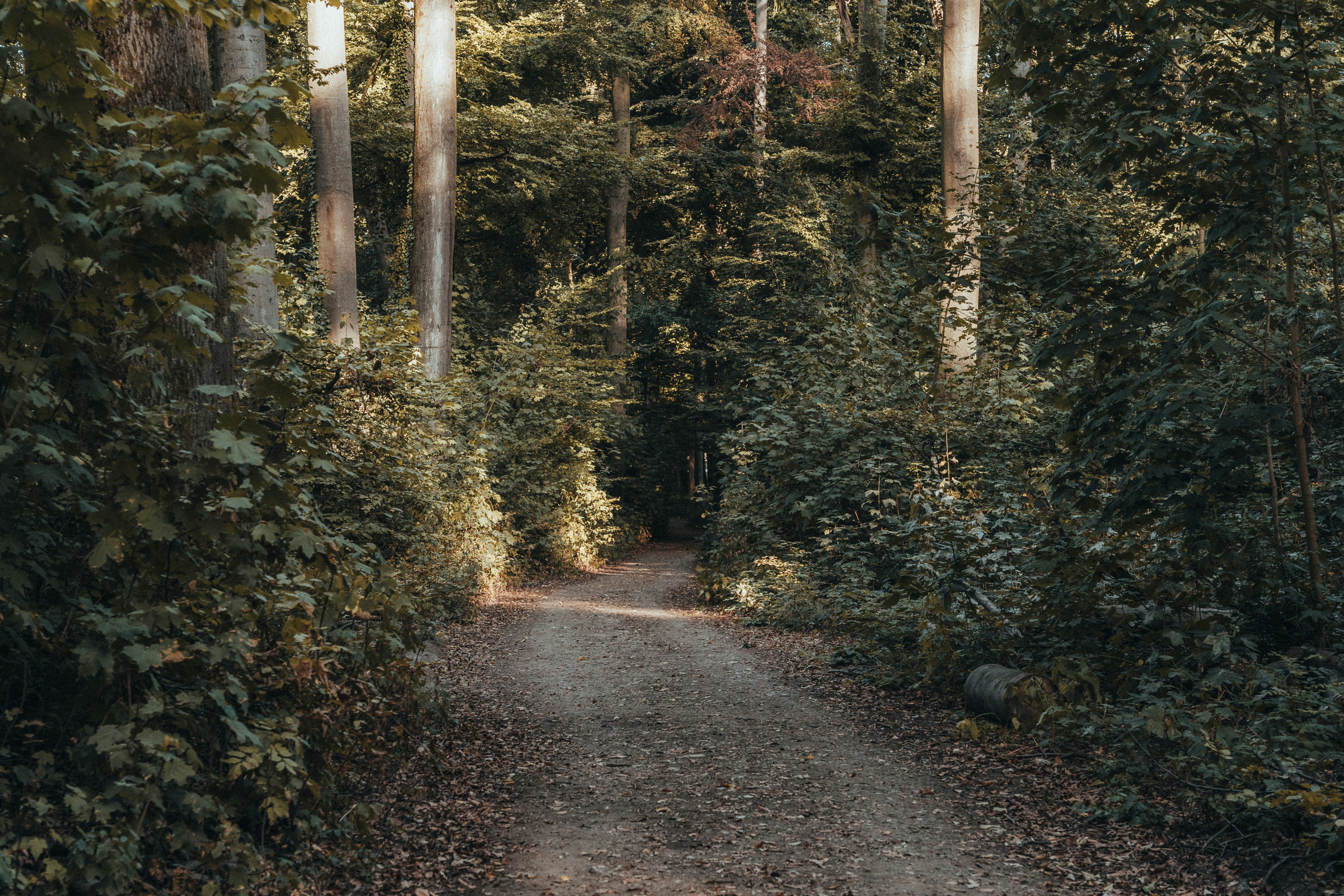 Photo by masoodaslami