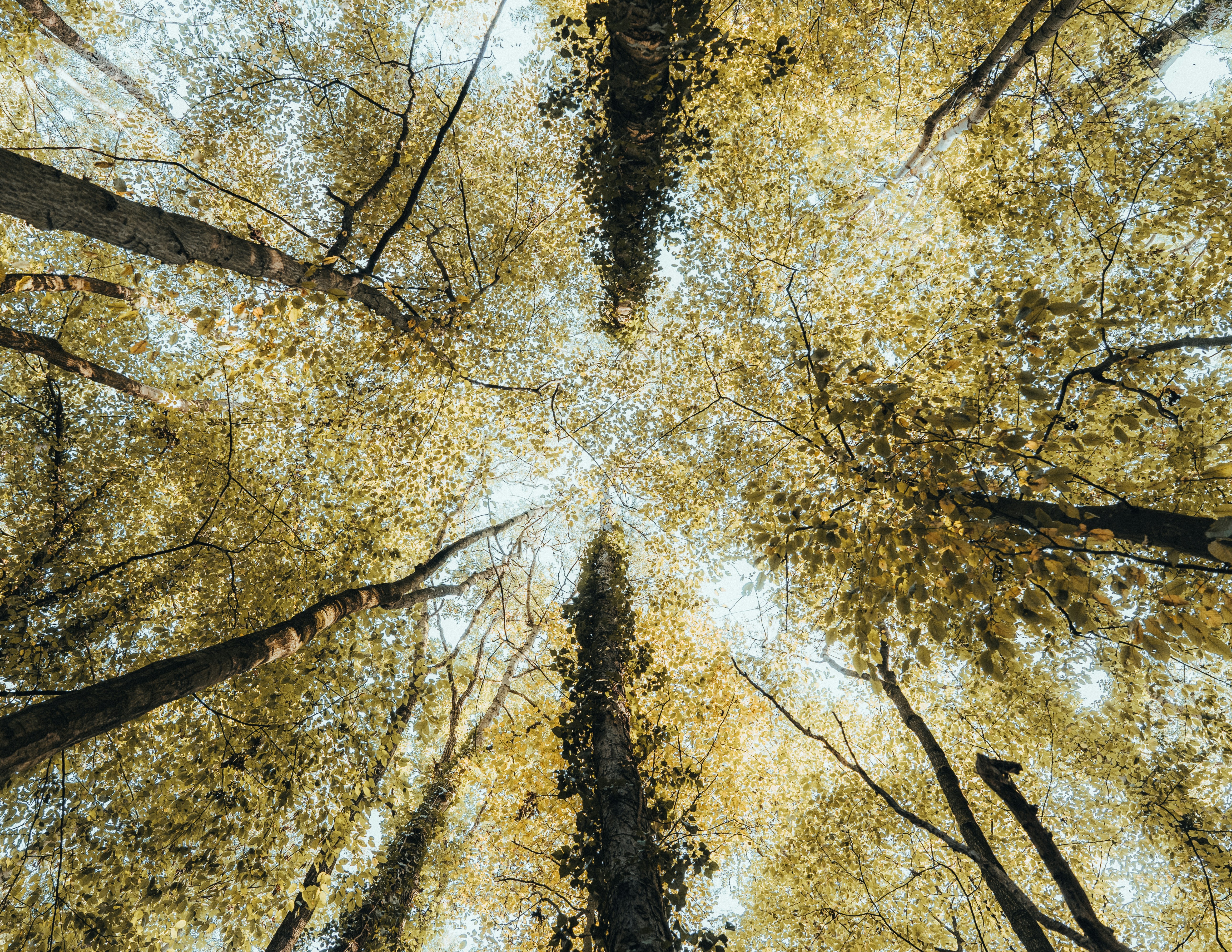 Photo by masoodaslami