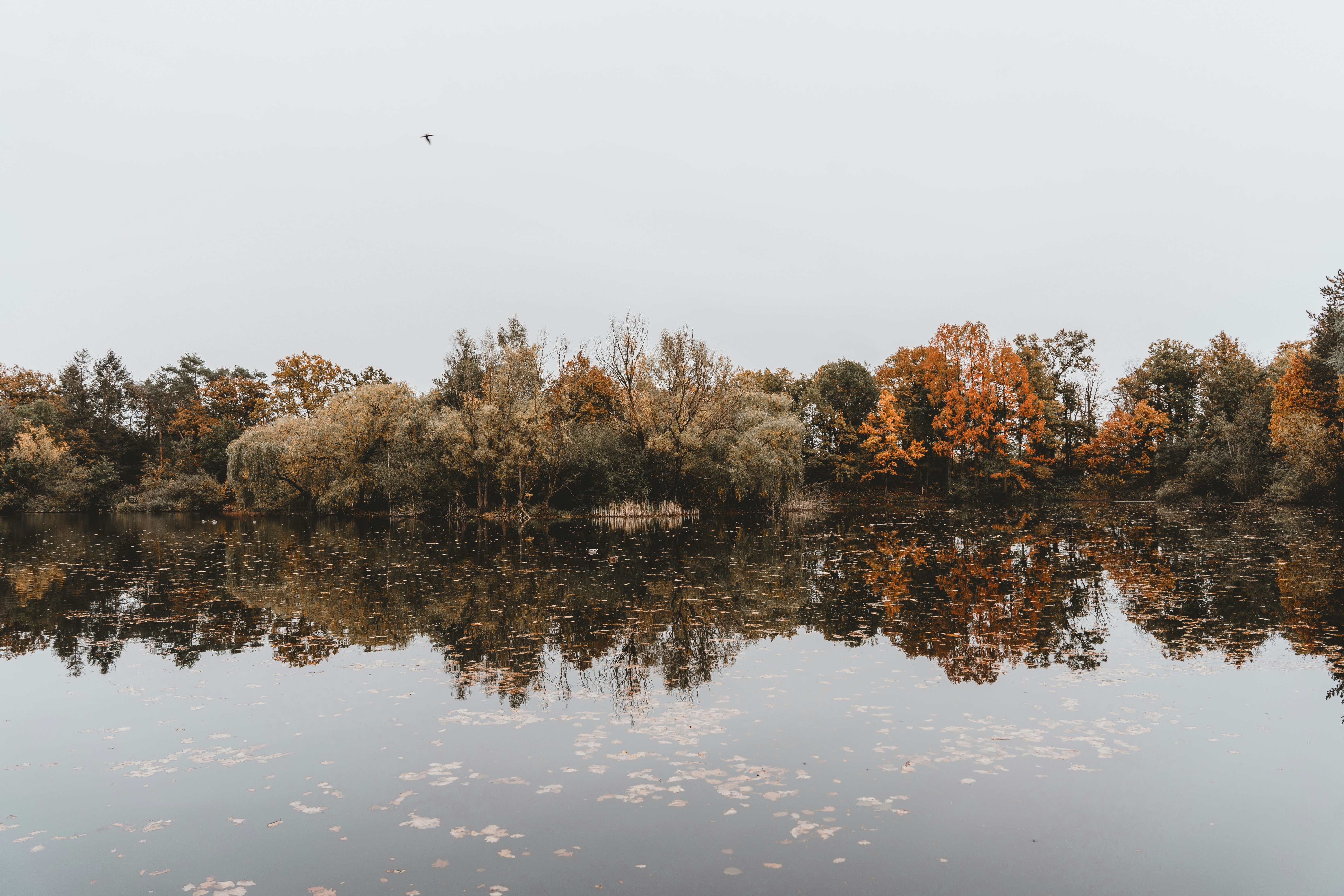 Photo by masoodaslami