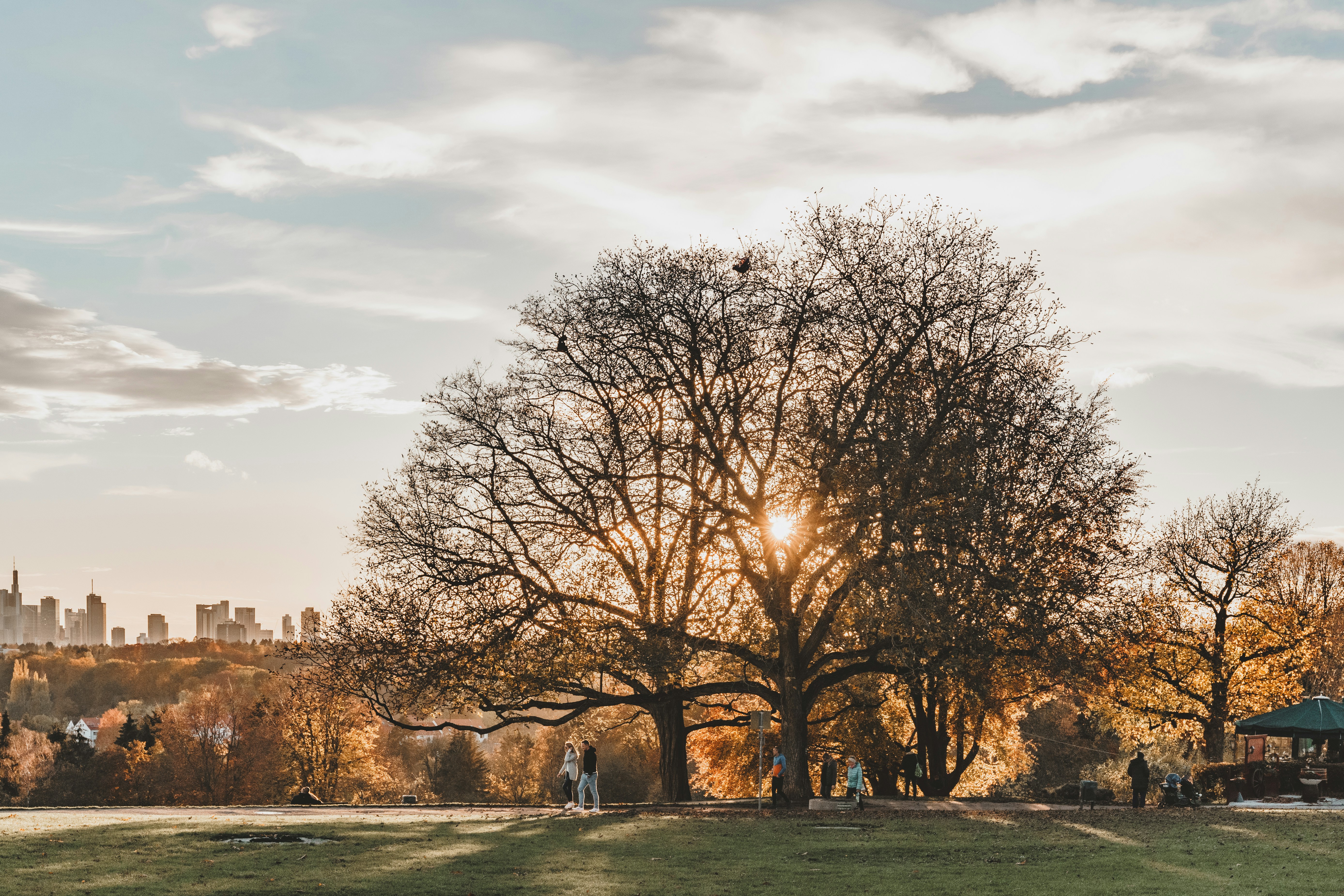 Photo by masoodaslami