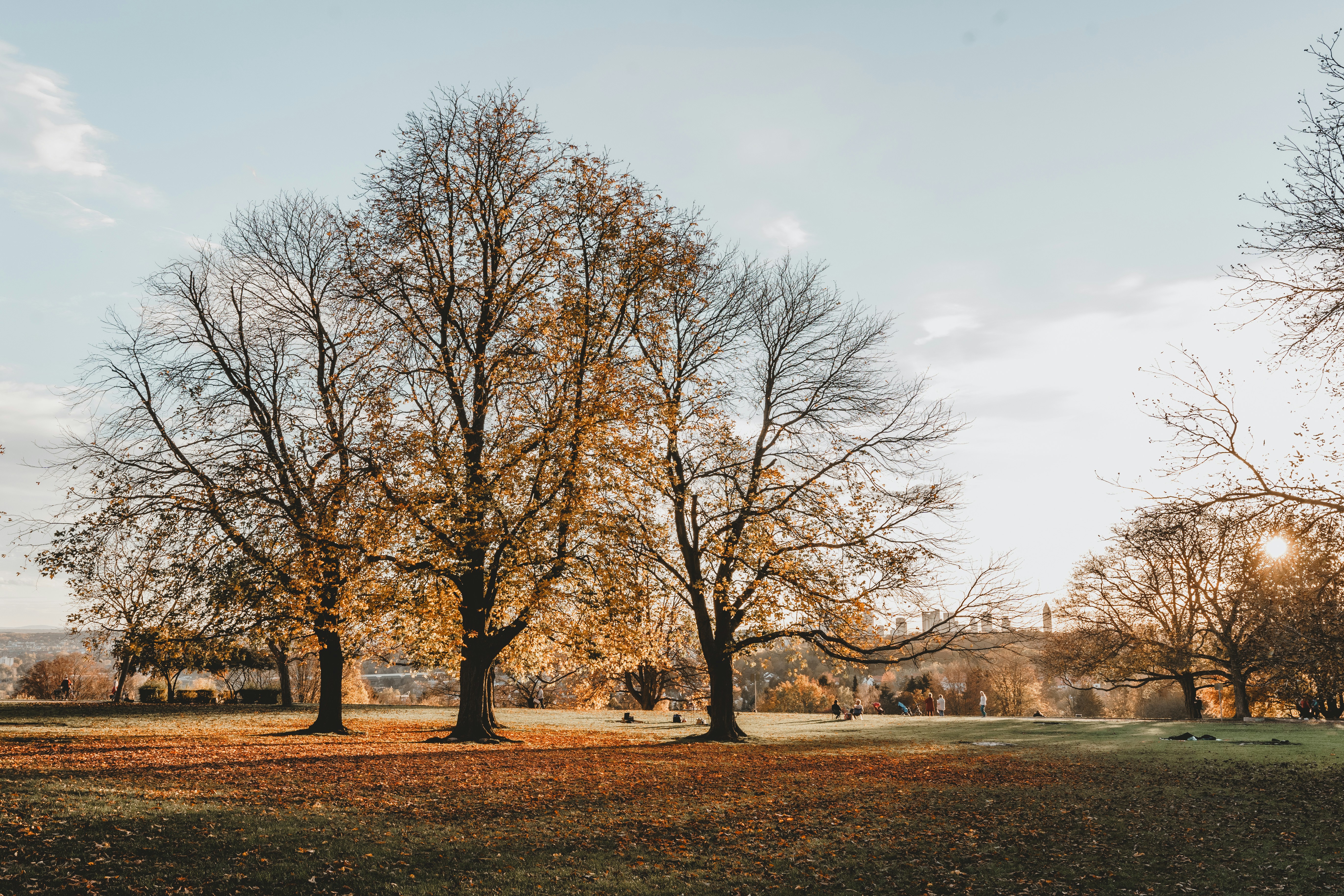 Photo by masoodaslami