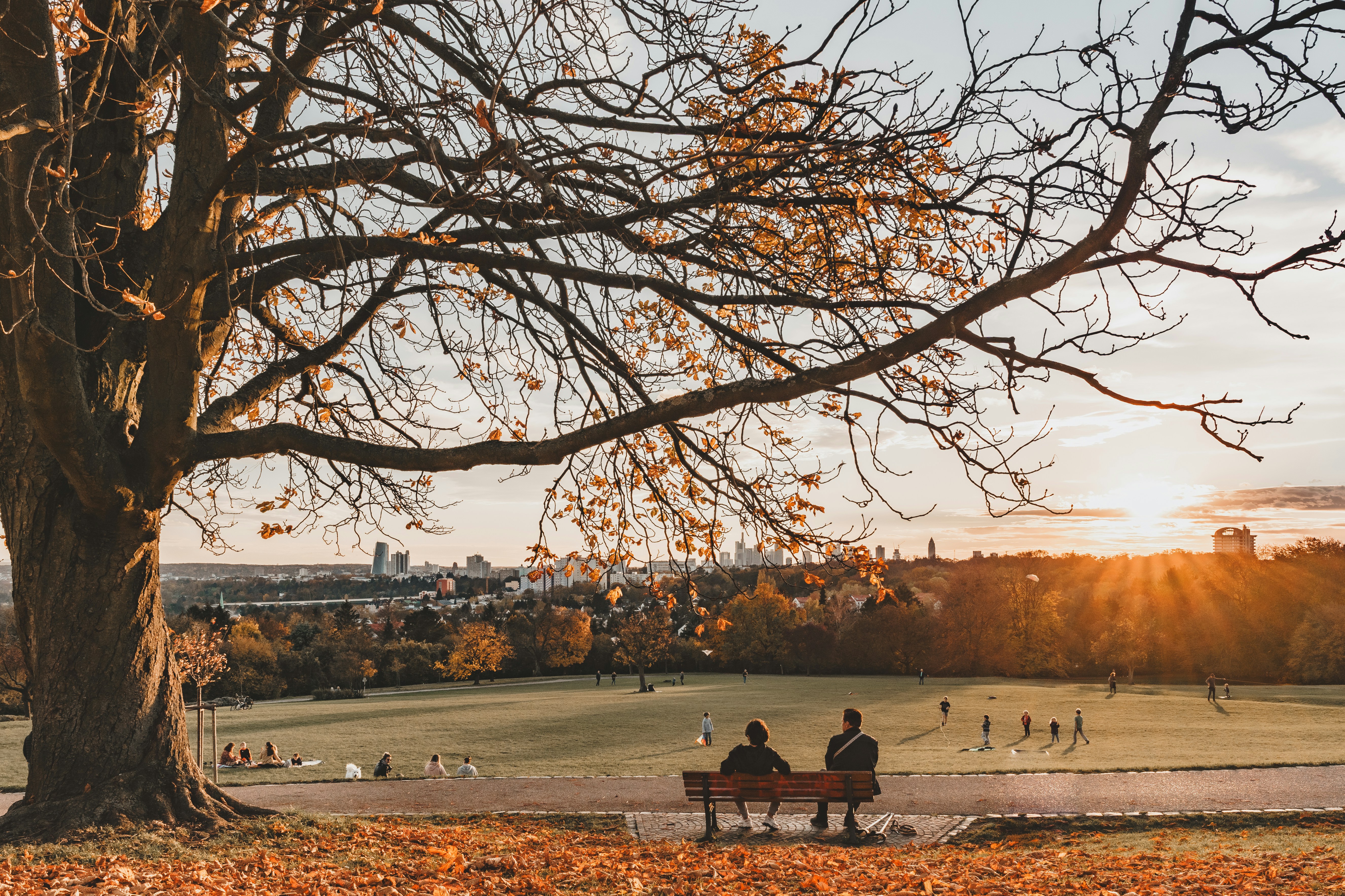 Photo by masoodaslami