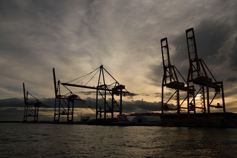 a group of cranes sitting on top of a body of water