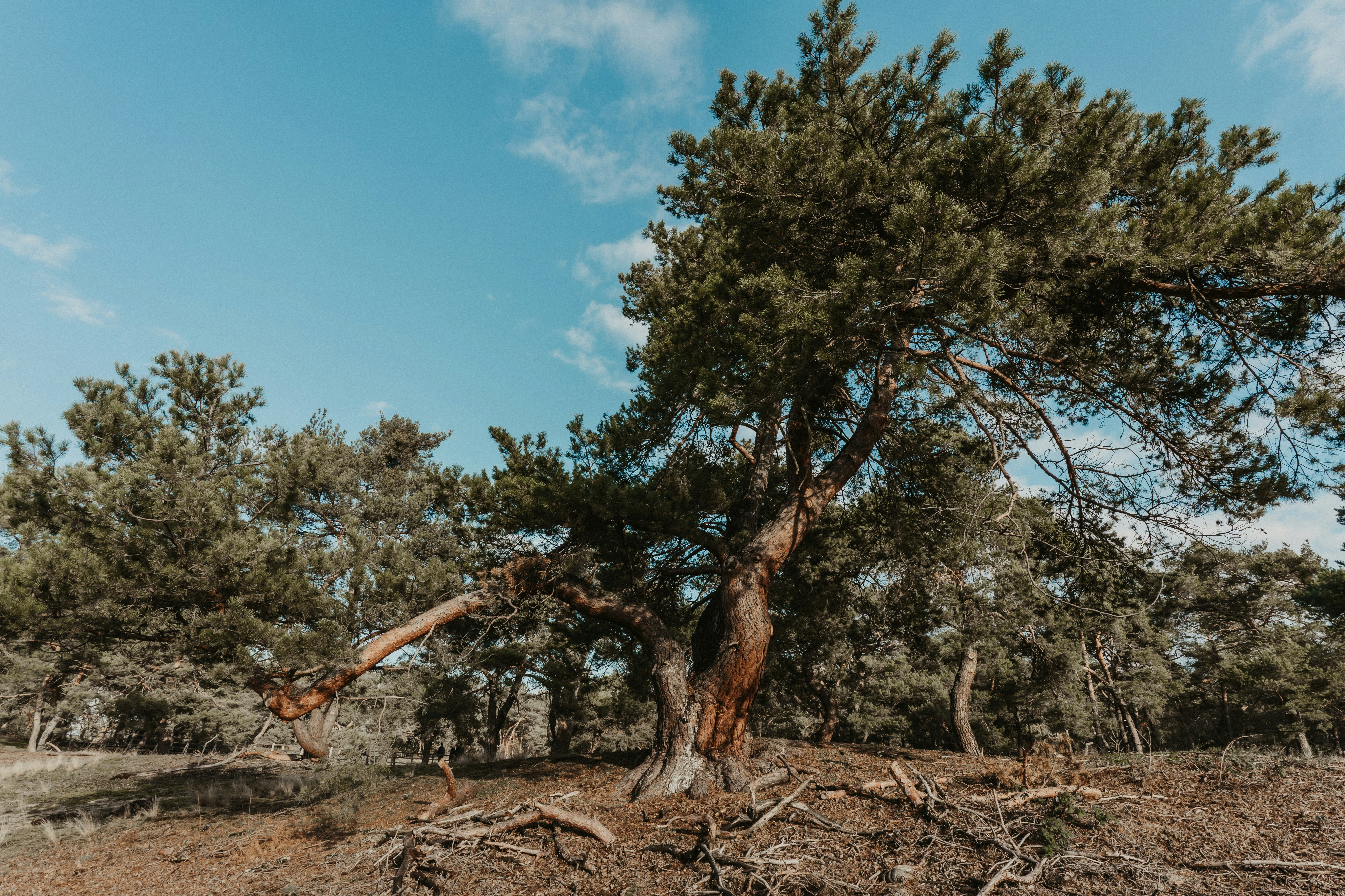 Photo by masoodaslami