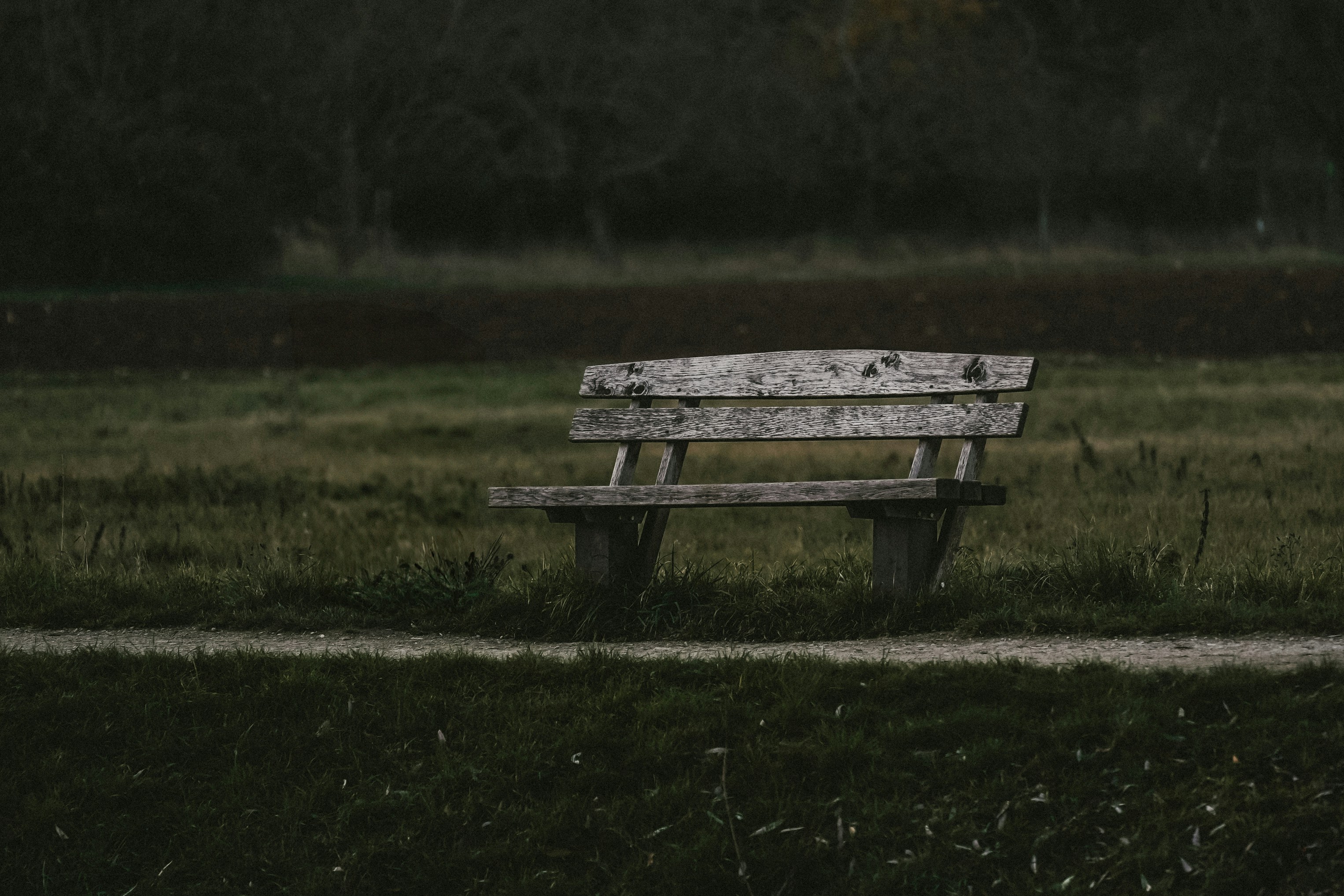 a wooden bench sitting on top of a lush green field