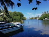 The calm waters and boats at Randiha, with trees lining the bank.