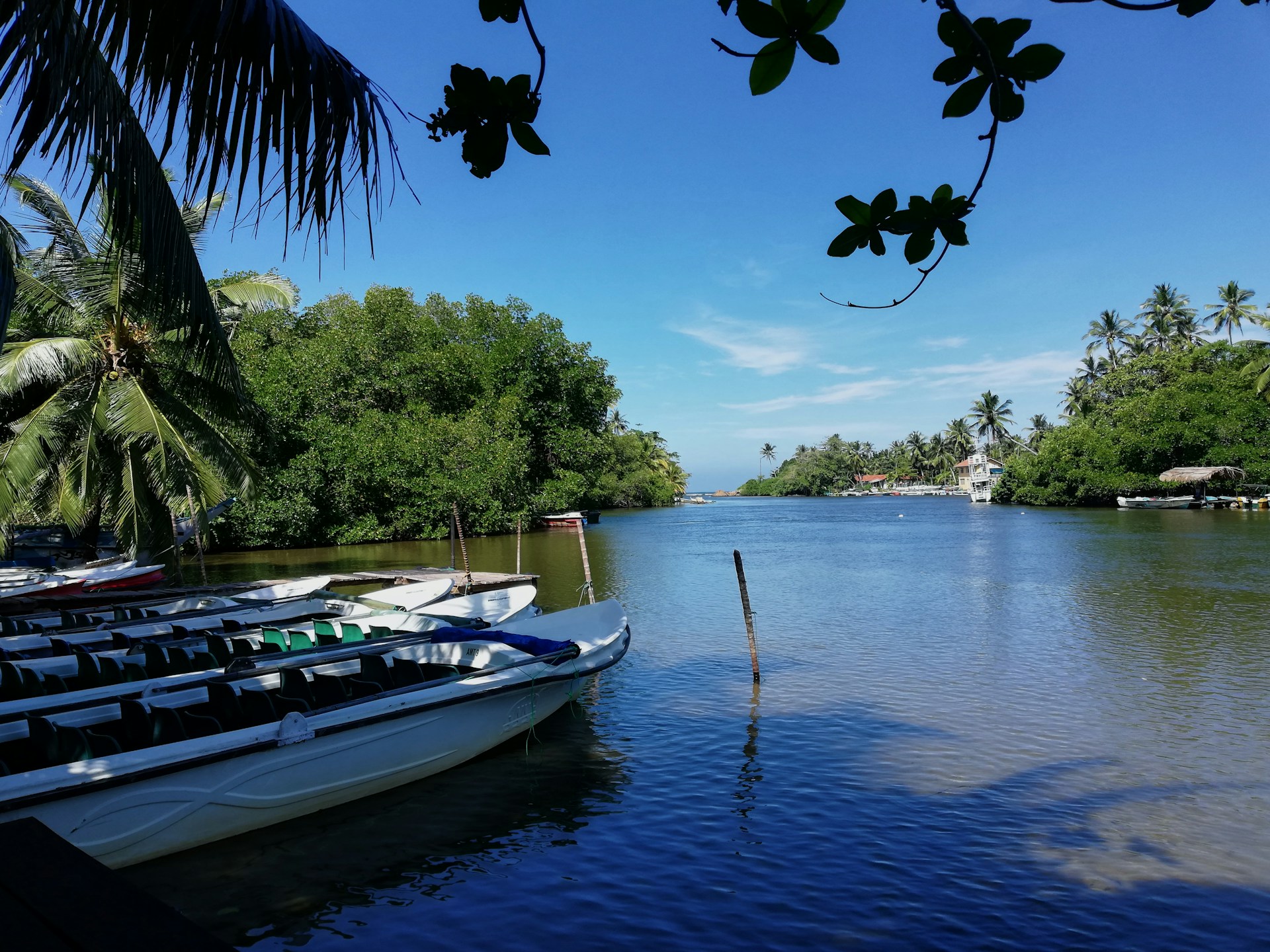 woman wearing yellow long-sleeved dress under white clouds and blue sky during daytime