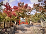 A quiet temple garden in Kyoto with autumn leaves scattered on stone paths
