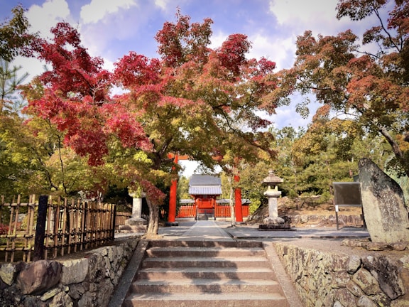 A quiet temple garden in Kyoto with autumn leaves scattered on stone paths