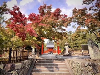A peaceful temple garden in Kyoto with autumn leaves and stone lanterns