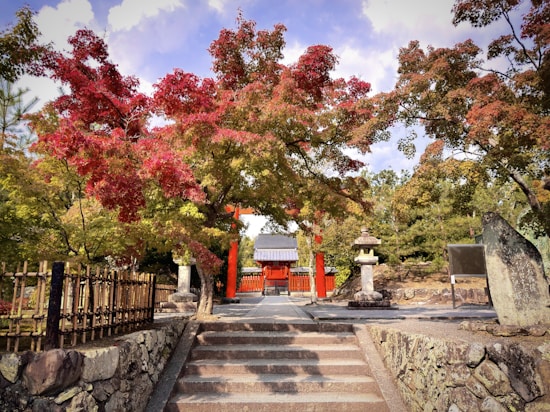 A traditional Japanese garden with vibrant autumn foliage, featuring red and green maple trees. Stone lanterns flank a stone pathway leading to a torii gate and a small shrine in the distance.
