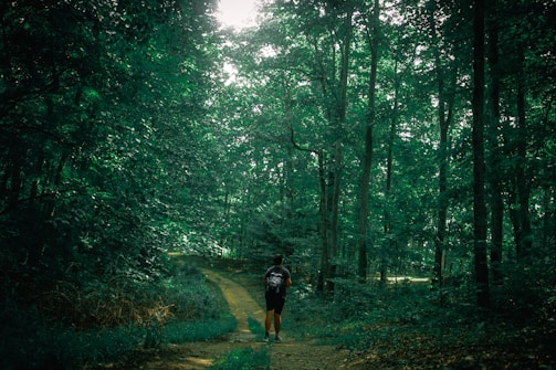 A sunlit trail winding through lush green forest with a traveler carrying a small backpack.