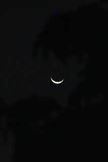 A glowing crescent moon rising over silhouetted trees as seen during a home star gazing event.