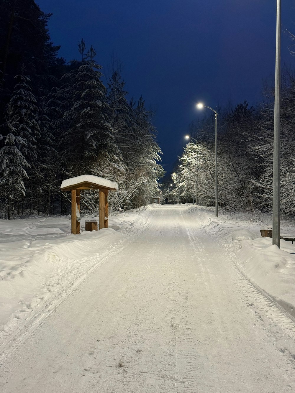 a snowy road with a bench and street lights