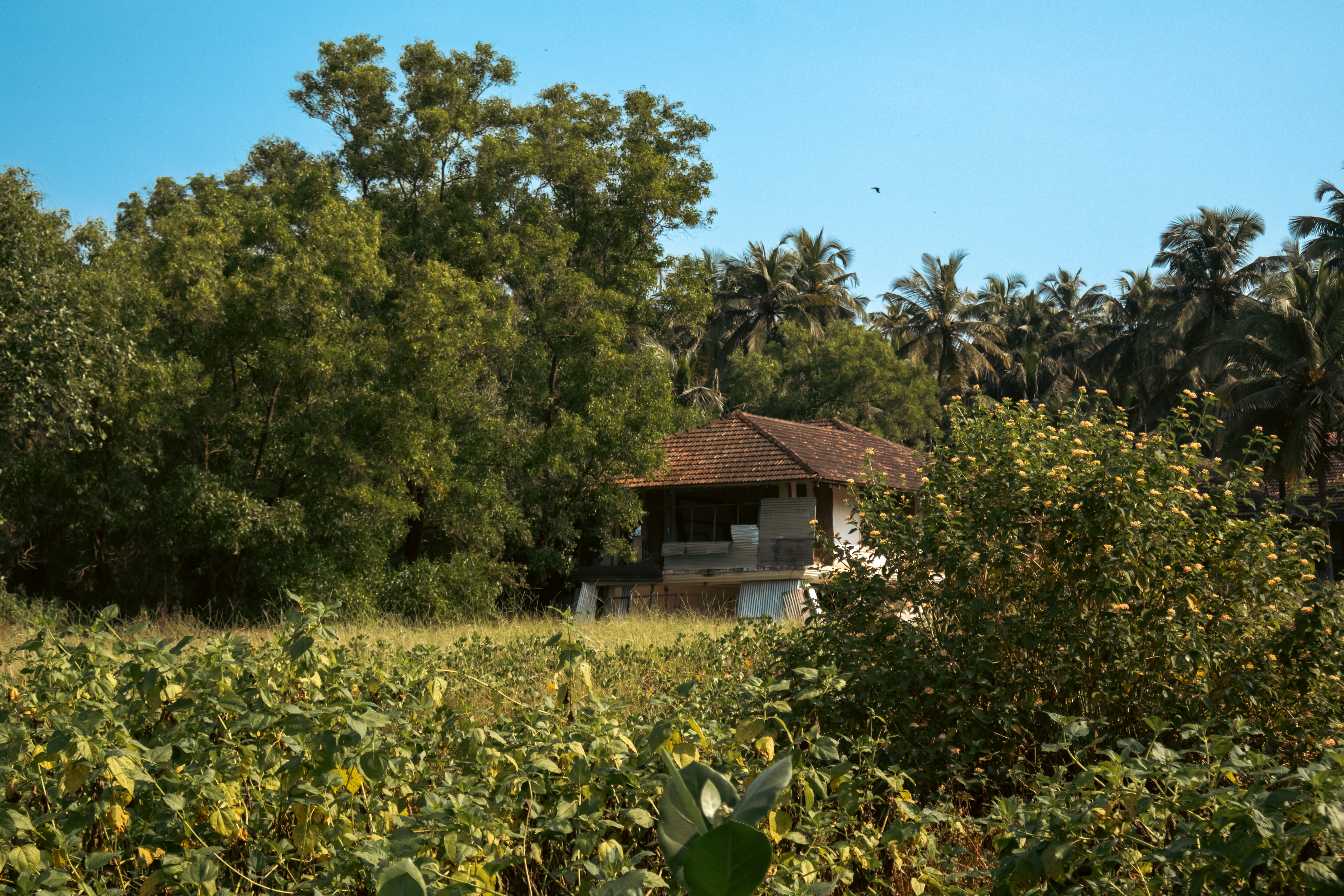 Photo by prakharsinghy