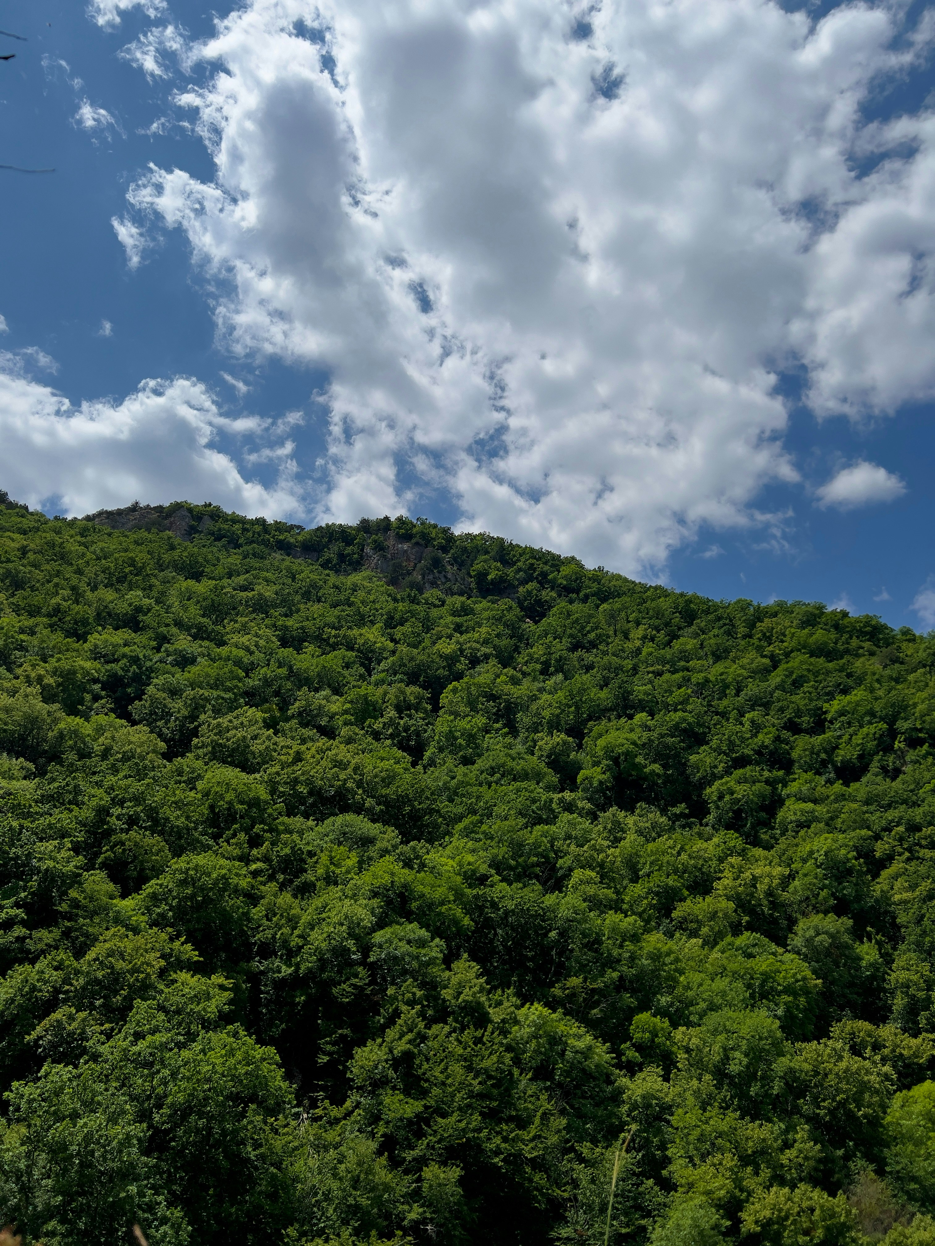 Photo by daaaaaaaaaanial