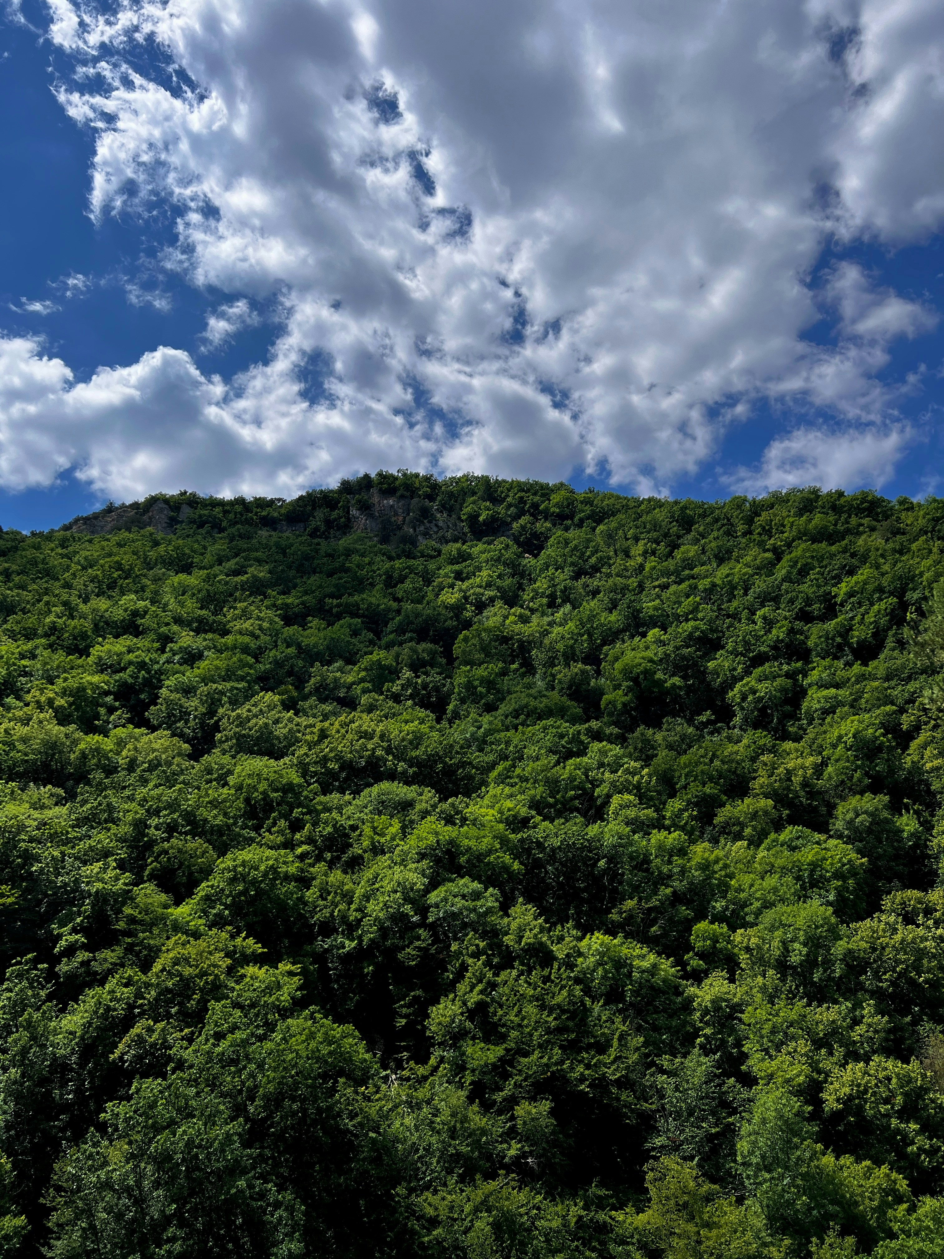 Photo by daaaaaaaaaanial