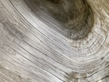 Close-up of intricate wood grain patterns on a valet.