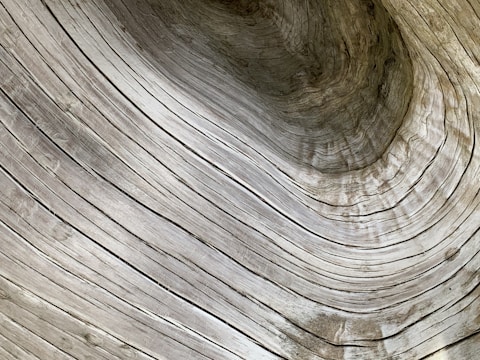 A close-up of detailed wood grain in furniture.
