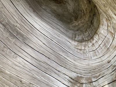 Close-up of intricate wood grain patterns on a valet.