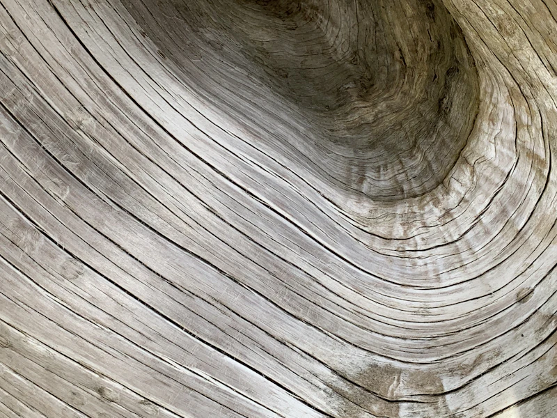 The swirling grain of weathered silver wood