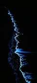 A striking view of a dark shoreline with glowing blue bioluminescent waves. The luminescent effect creates a shimmering outline against the dense black background, highlighting the natural flow and curves of the water's edge.