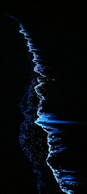 A striking view of a dark shoreline with glowing blue bioluminescent waves. The luminescent effect creates a shimmering outline against the dense black background, highlighting the natural flow and curves of the water's edge.