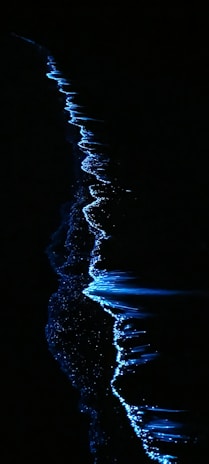 A striking view of a dark shoreline with glowing blue bioluminescent waves. The luminescent effect creates a shimmering outline against the dense black background, highlighting the natural flow and curves of the water's edge.