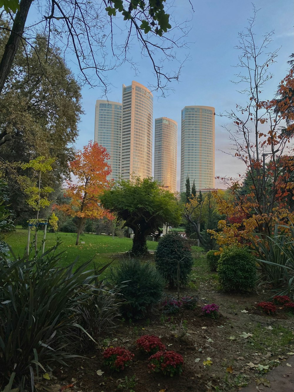 a view of a park with tall buildings in the background
