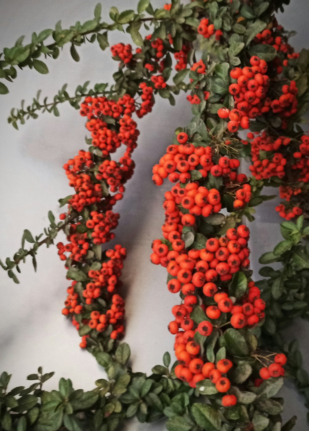 un gros plan d’un bouquet de baies sur une table