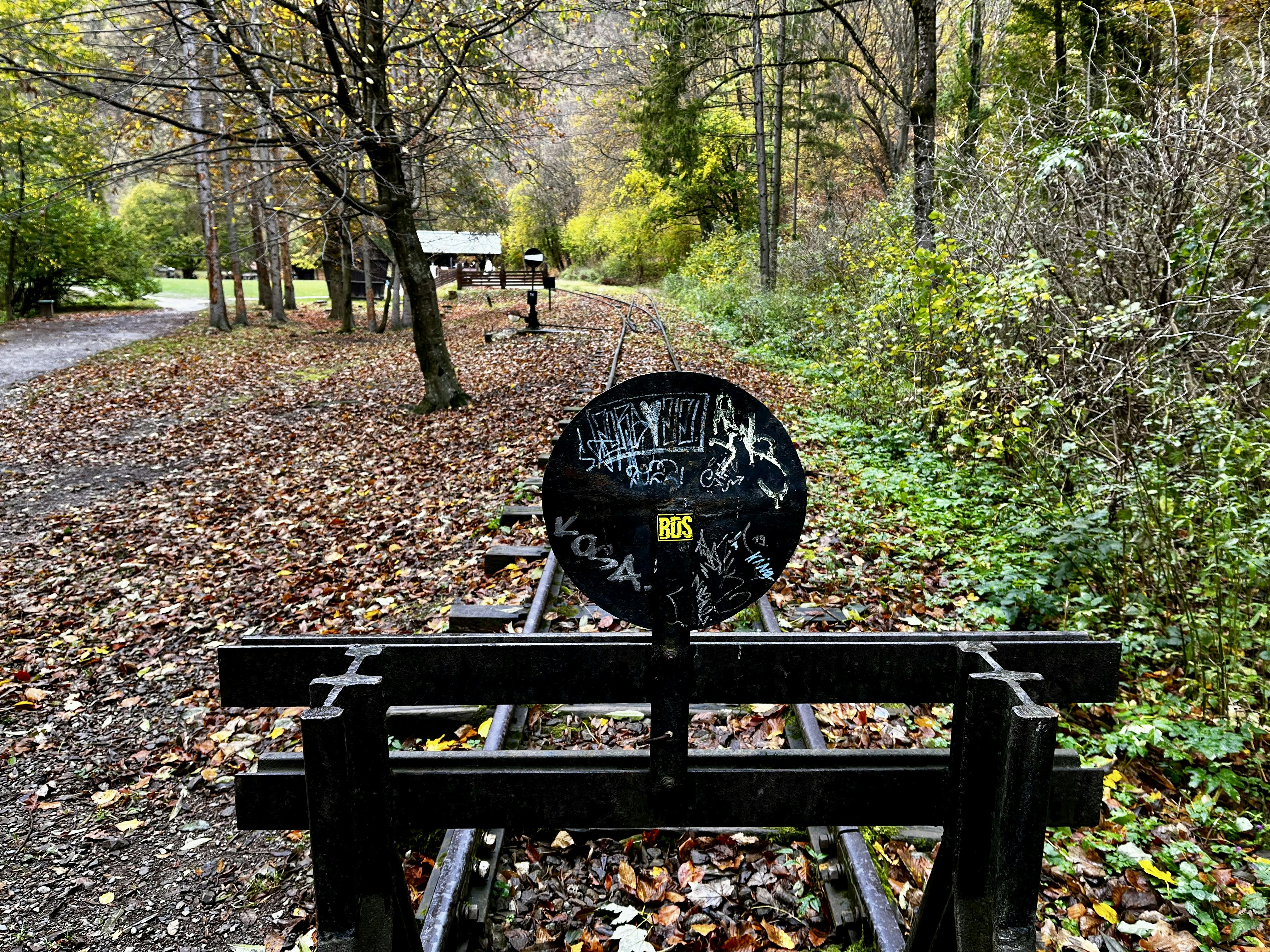 a bench with graffiti on it sitting in the middle of a forest