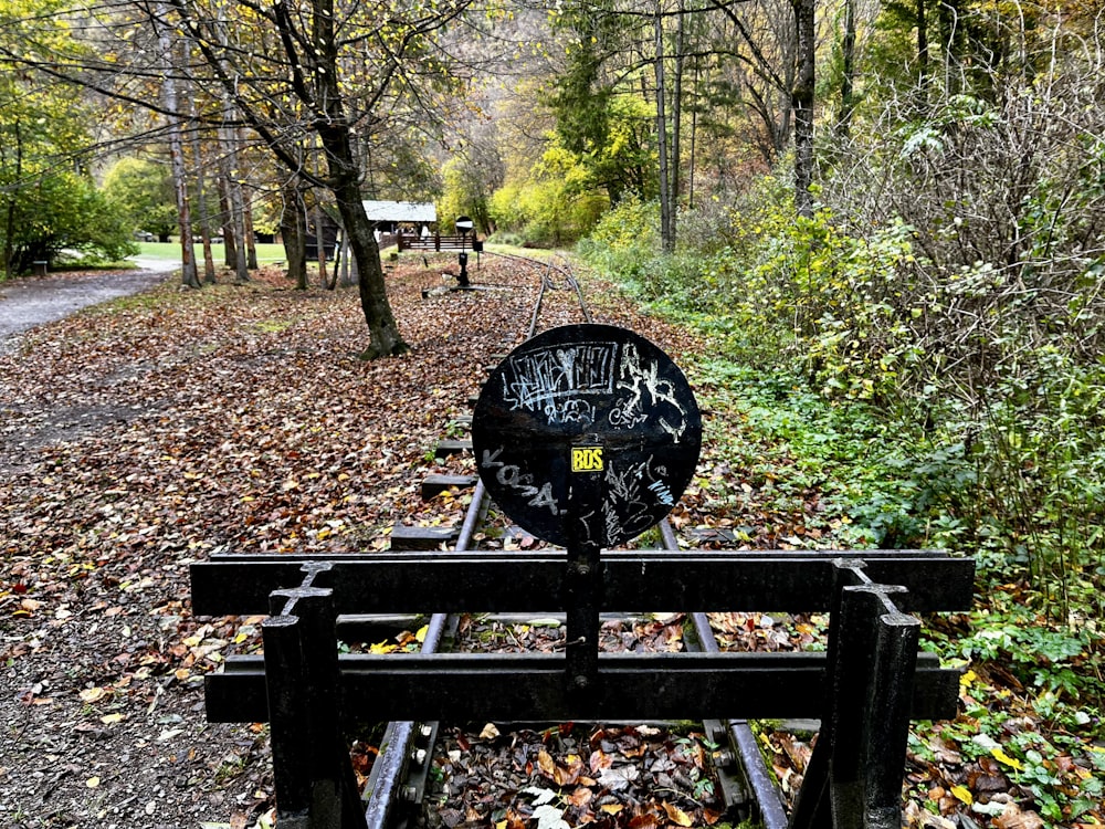 a bench with graffiti on it sitting in the middle of a forest