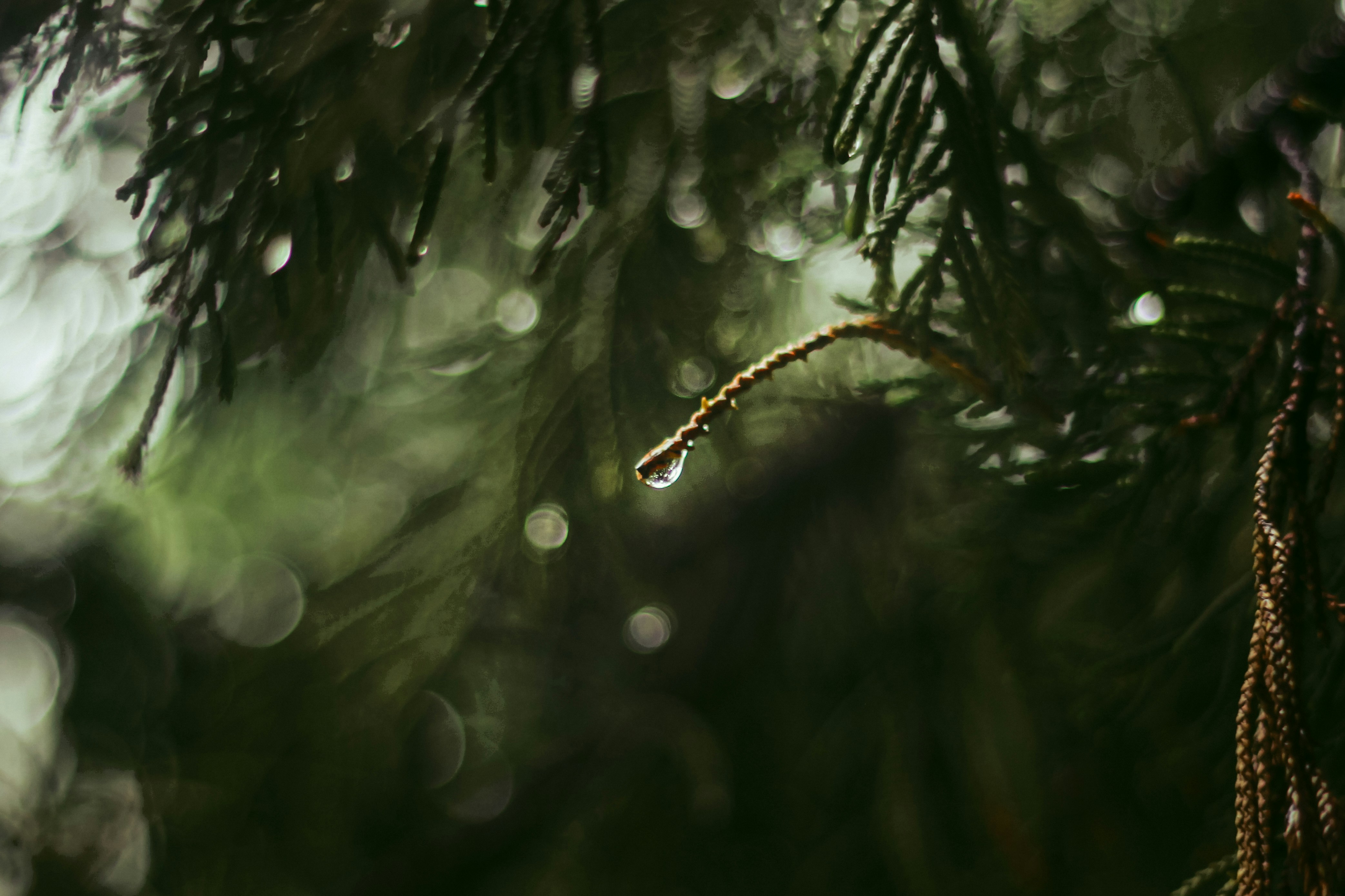 Photo by joylynn_goh