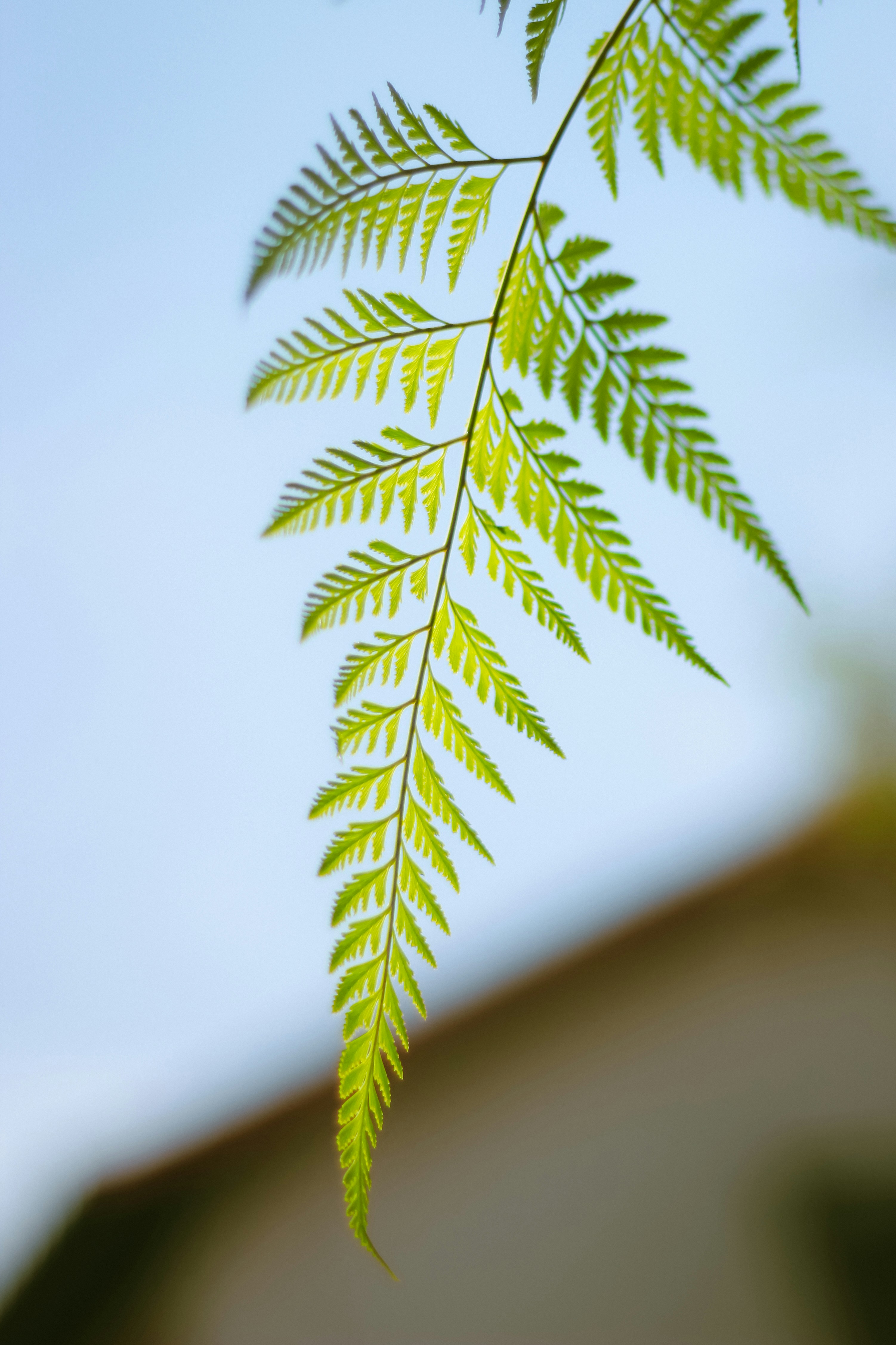 Photo by joylynn_goh