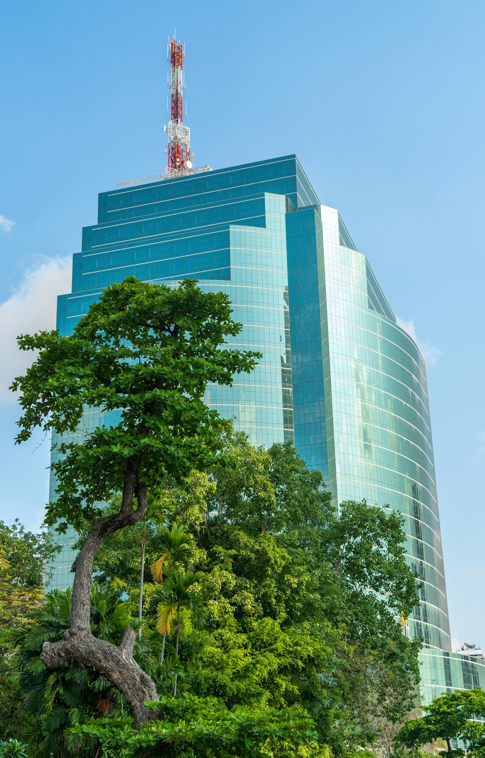 a very tall building with a very tall tree in front of it