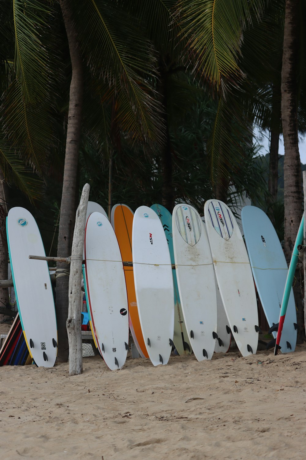 a row of surfboards sitting on top of a sandy beach
