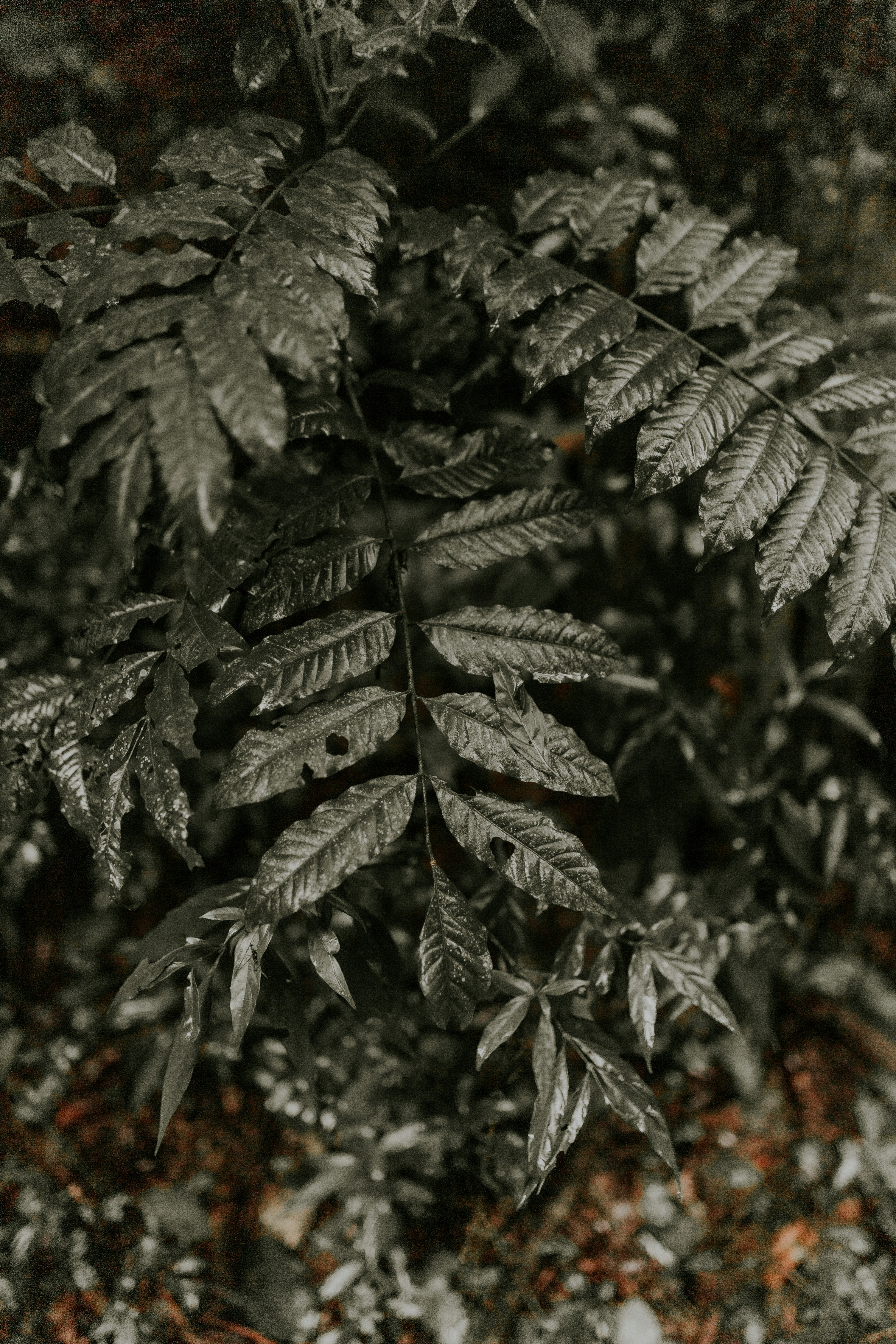 Photo by alexandermassph