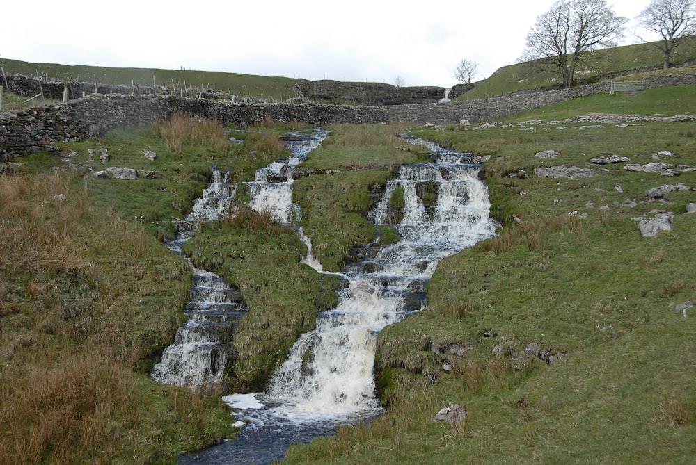 a stream running through a lush green hillside